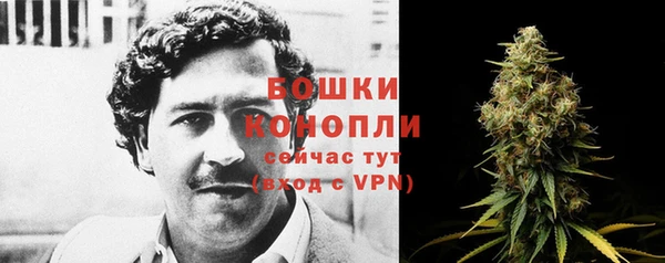 дурь Аркадак